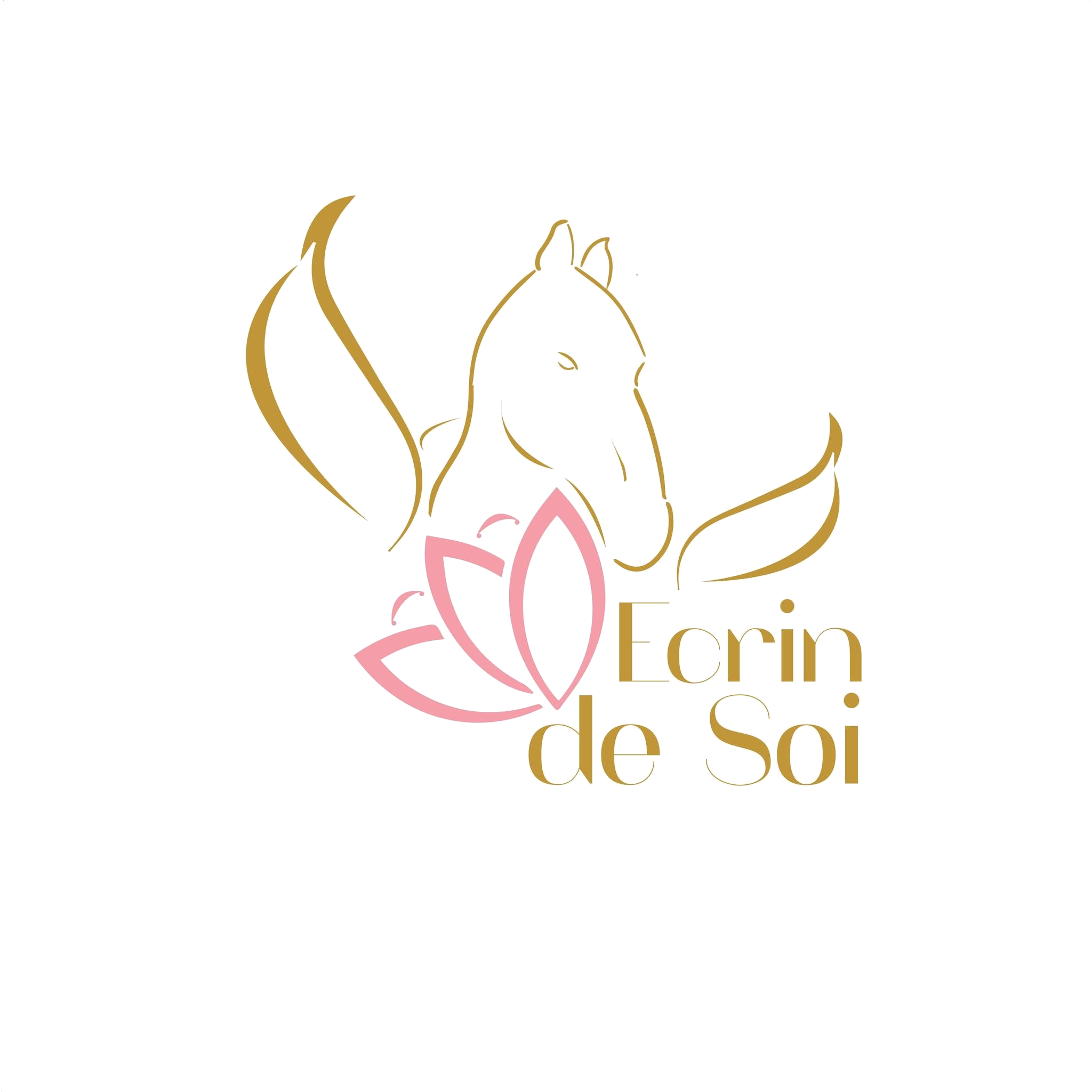 LogoEcrinDeSoi.png